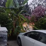 Villamuz * 얄리카베크