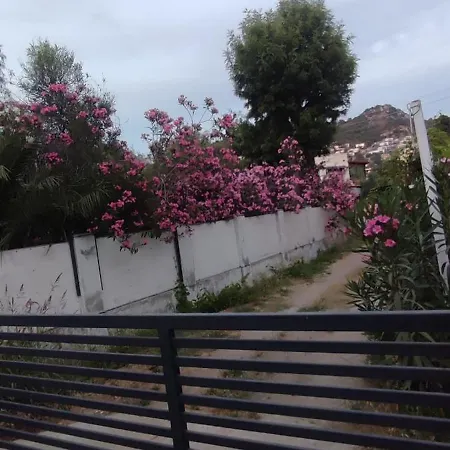 Villa Villamuz