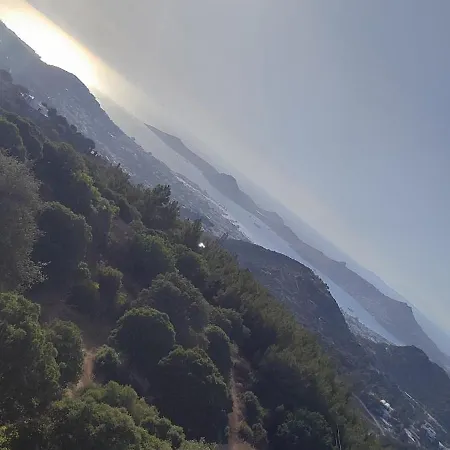 Villamuz فيلة