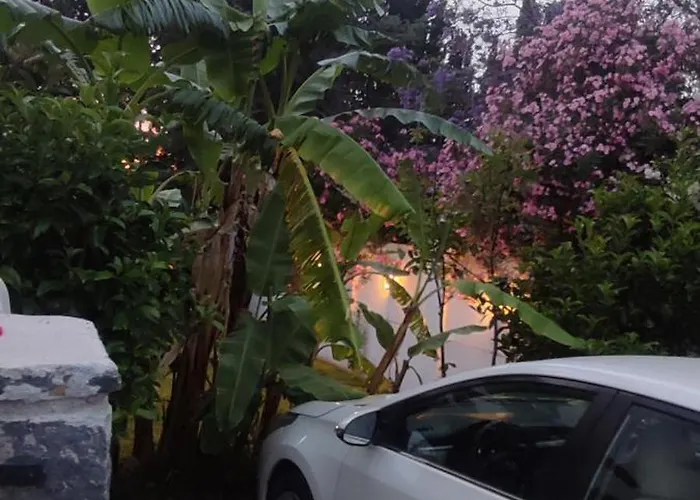 Villamuz * Yalıkavak